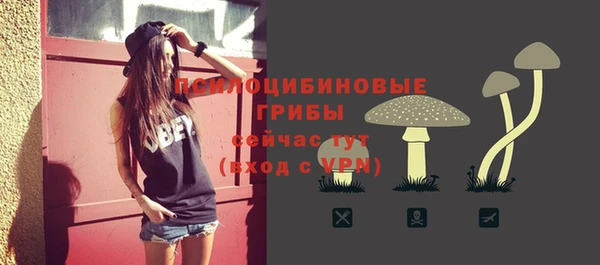 тгк Верея