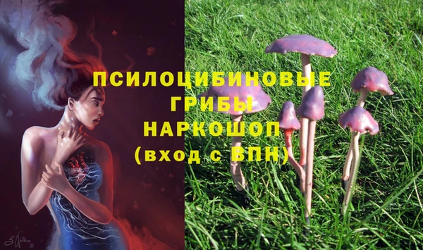 тгк Верея