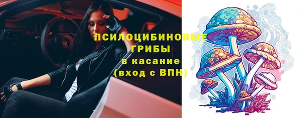 тгк Верея