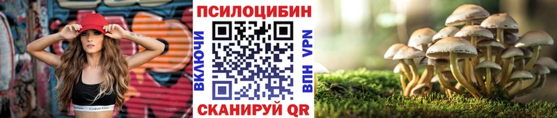 Купить закладки  Спас-Клепики  Псилоцибиновые грибы Psilocybe 